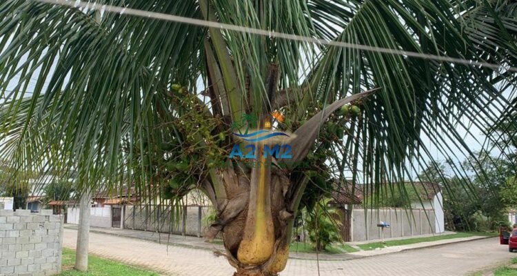 Casa em Condomínio Fechado – Villagio Julieta