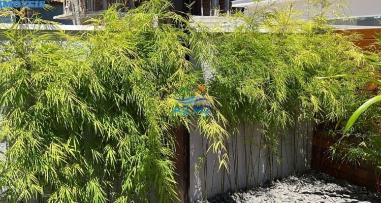 Luxuosa casa à venda no condomínio Costa Nova – Praia do Massaguaçu, Caraguatatuba (Litoral Norte SP)